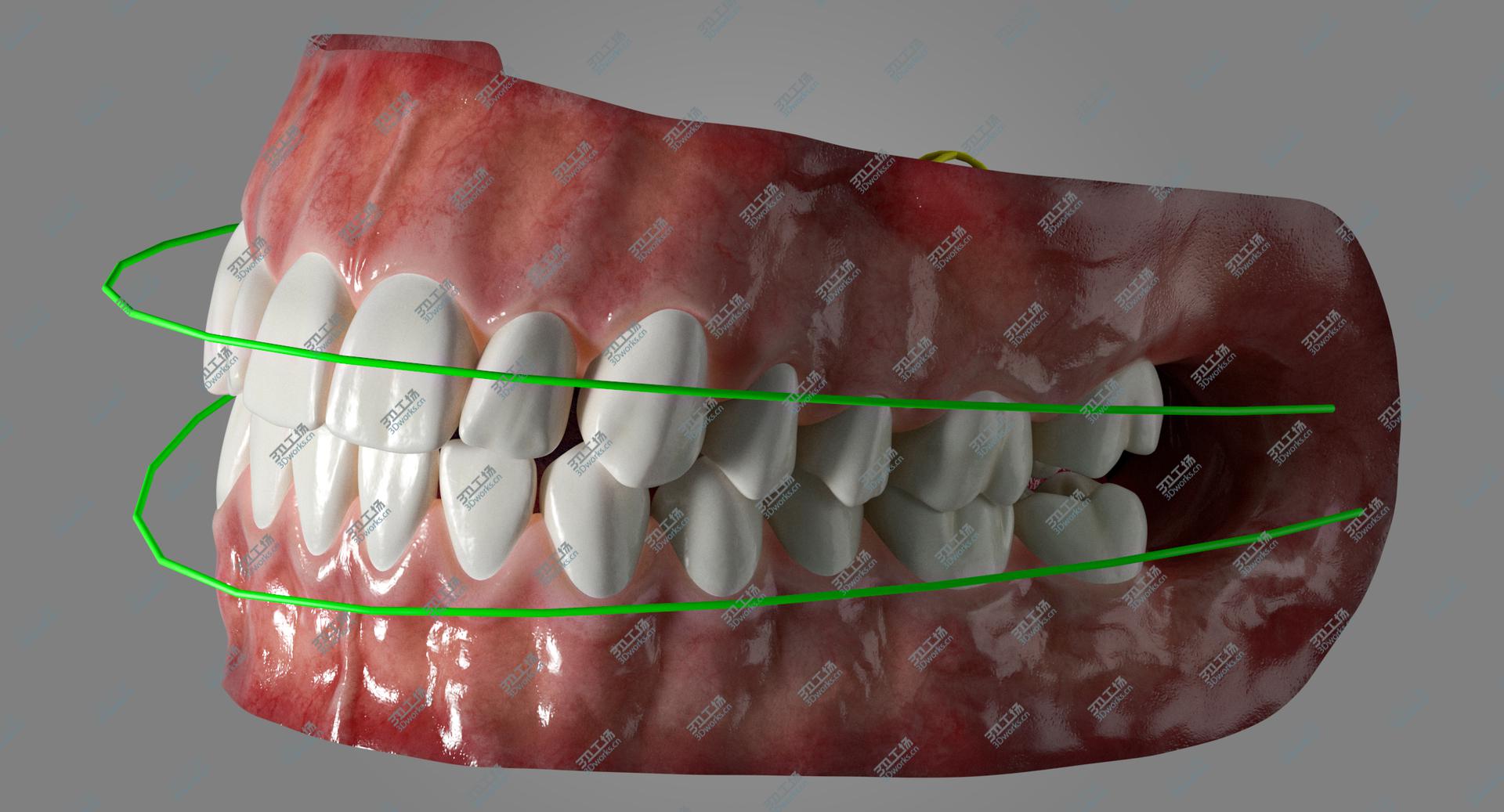 images/goods_img/202105073/Human Mouth With Tongue Rigged 3D model/4.jpg